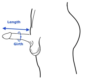 Measuring length and girth of the penis